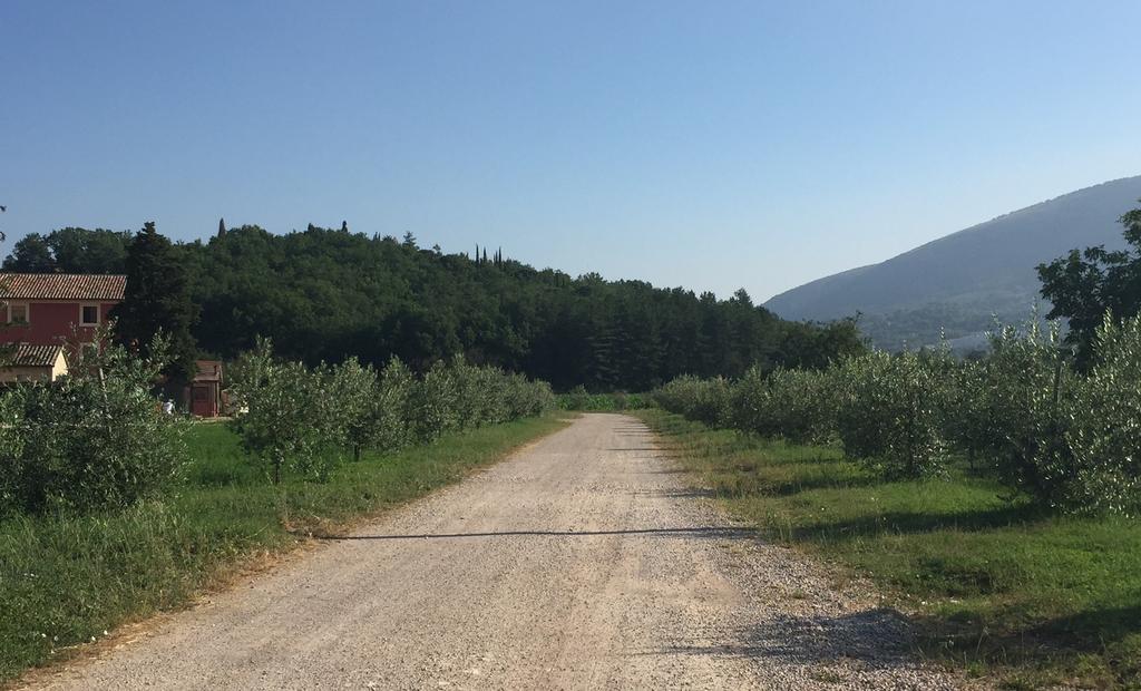 Rosso Porpora Villa Colle Umberto  Dış mekan fotoğraf